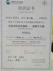 2026年郑州宠物绝育门店:瑞派宠天福专科推荐