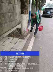 2026年园林绿化白蚁治理服务商推荐:专业防治技术解析