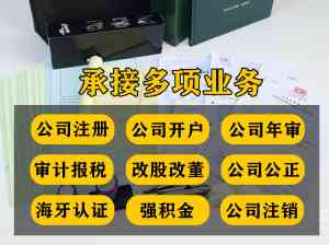 2026年公司闲置注销处置方案专业服务机构解析