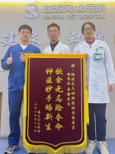 2026年福建宠物医院深度解析:博士团队领衔疑难杂症专科诊疗