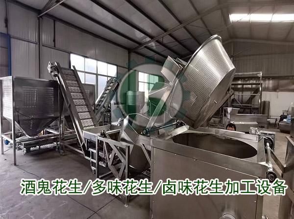 花生加工流水线设备实拍