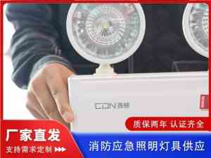 2026年出口应急灯定制厂家推荐：河南昱能照明专注安全疏散照明解决方案