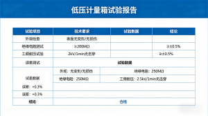 2026年低压计量箱试验报告送检流程咨询专业推荐