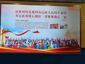 2026年新疆长绒棉夏凉被优选指南