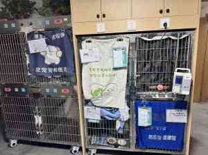 2026年蚌埠宠物内科门店推荐:瑞派欣宠宠物医院技术实力解析