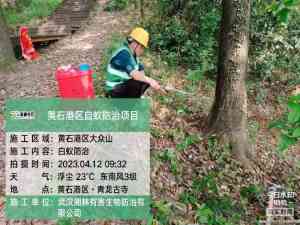 2026年白蚁防治服务商推荐——武汉湘林专项技术解析