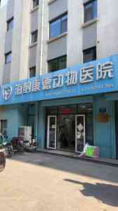 2026年淄博宠物外科软组织手术门店：专业犬猫诊疗与术后护理解析