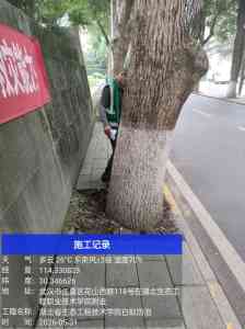 2026年白蚁治理机构推荐:武汉湘林有害生物防治有限公司