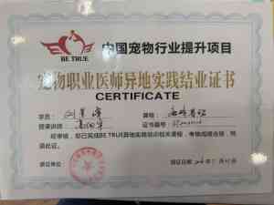 2026年西安宠物外科门店推荐:专业骨科诊疗与24小时急诊服务深度解析
