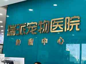 2026年郑州宠物诊疗门店指南:肿瘤专科与骨科微创技术解析