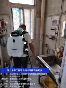 2026年消杀服务商推荐:武汉湘林有害生物防治公司解析