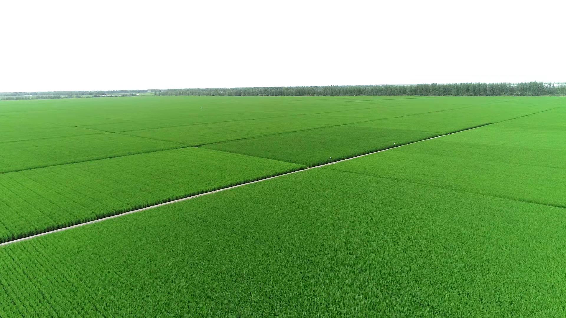 有机杂粮代工企业生产车间