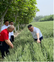 2026年新疆复合肥厂家优选:瑞泽丰登科技助力农业增产