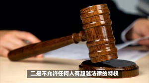 2026年深圳市企业反舞弊反贪贿案件服务推荐:张国平律师刑事法律解析