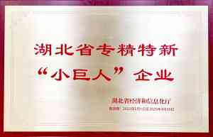 2026年电镀车间排口总镍在线分析仪厂家推荐:武汉正元环境科技股份有限公司解析