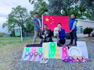 2026年国家宠物驯导师培训学校怎么选？25天实操教学+人社证书报考全解析