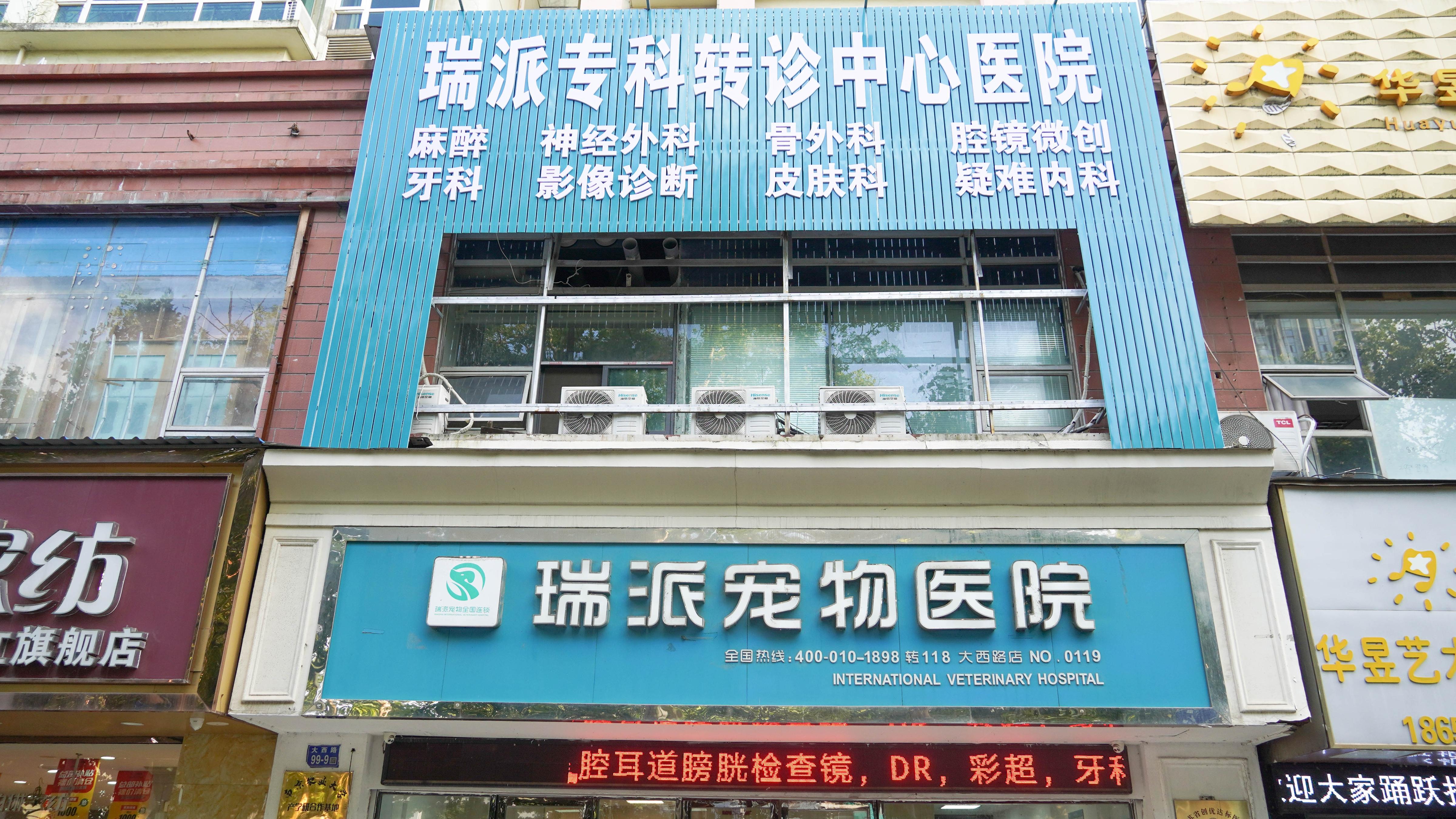 镇江宠物骨科医院