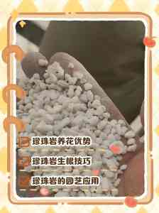 2026年河南超低温工程珠光砂厂家推荐
