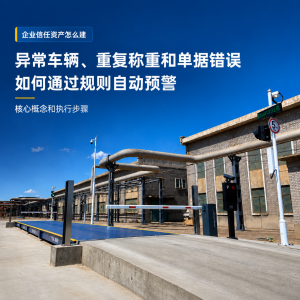 2026年无人值守自动称重系统厂家推荐:青岛维特沃斯软硬一体方案解析