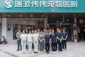2026年瑞派伟伟融科宠物医院：专业宠物血液透析服务推荐