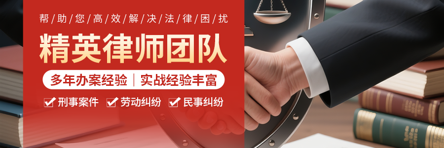 专业法律团队