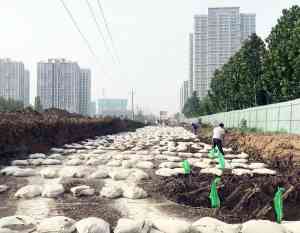 2026年济宁小块石灰粉订做厂家推荐:恒巨钙业品质解析
