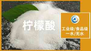 2026年一水柠檬酸厂家推荐:山东诚新化工科技品质解析