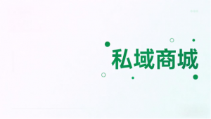 想做会员储值商城小程序?别乱选,这几家最靠谱