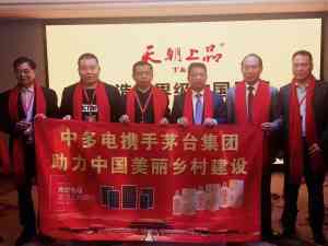2026年北京家用光伏安装厂家推荐,中多电以五星安装标准护航绿色生活
