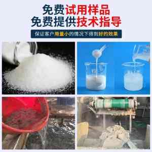 2026年聚丙烯酰胺非离子定做厂家解析:郑州禄泉环保技术优势