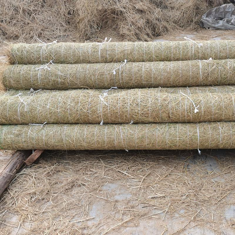 防汛草毯厂家