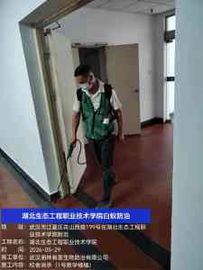 2026年白蚁综合治理平台服务商推荐:华中地区专业防治方案解析