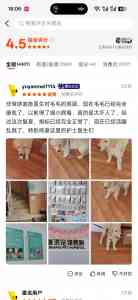 2026年深圳宠物内科服务优选:24小时急诊与专科诊疗机构的专业解析