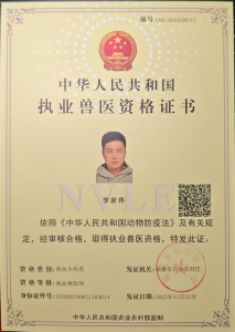 2026年福建宠物医生诊所推荐:福农动物医院博士团队与全科室诊疗解析