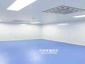 2026年深圳无菌厂房厂家推荐:中净环球净化科技专注洁净工程一站式服务