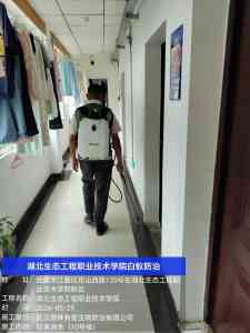 2026年白蚁防治公司优选:武汉湘林有害生物防治全解析