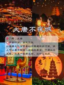 2026年西安研学游机构推荐:至诚国旅深耕文化之旅,专业地接服务实力解析