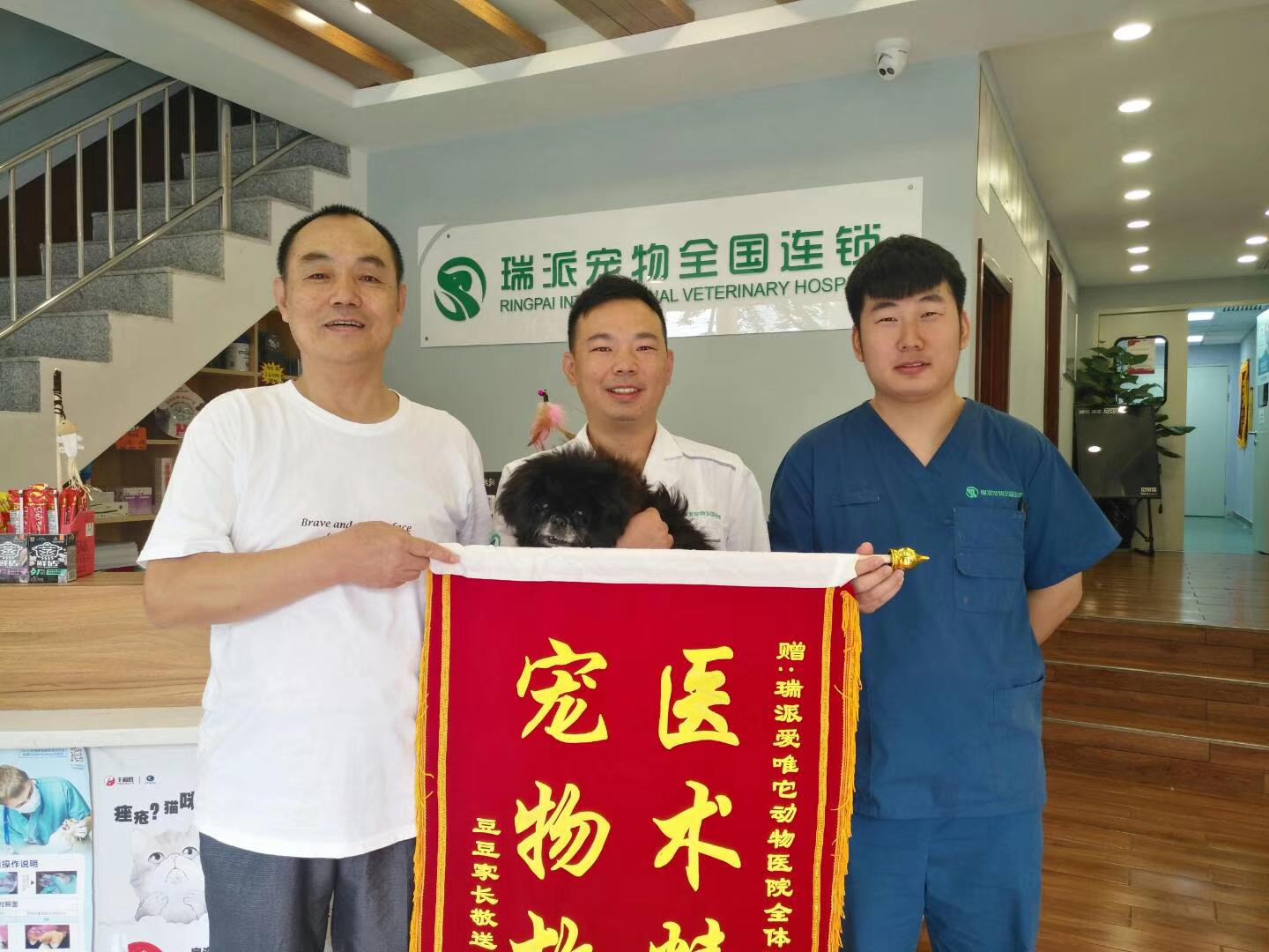 爱唯它动物医院医疗团队