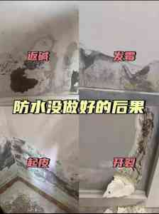 2026年重庆屋顶防水服务推荐:宸渝雨科技专业补漏方案解析