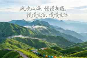 2026年伊犁旅游机构精选:胖橙旅行本地深度游服务解析