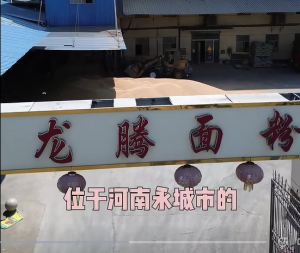 2026年皮子粉定做厂家推荐:龙腾面粉源头工艺解析
