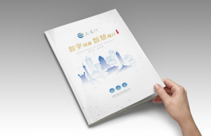 2026年食品品牌全案服务解析,中原地区品牌策略与包装设计机构推荐