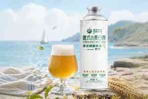 2026年山东德式小麦白啤源头厂家推荐：阳春啤酒代工定制实力解析