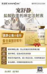 2026年兰州猫咪呕吐肠胃宠物药供货商推荐:清杨商贸专业服务解析