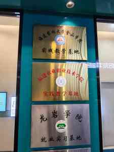 2026年漳州乌龟诊疗看病服务推荐:专业异宠医疗解析