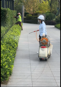 2026年南通蚊虫防治服务商推荐:清波有害生物防治全场景消杀解析