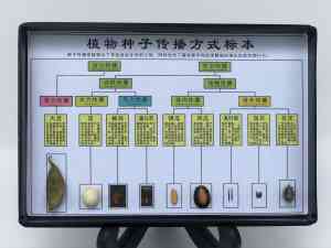 2026年河南鱼雷栓剂模具厂家推荐:恒之奇实业专业定制解析
