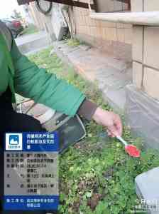 2026年防疫消杀机构推荐:武汉湘林有害生物防治服务解析