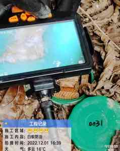2026年厦门灭老鼠机构推荐:专业消杀服务与综合防制方案解析