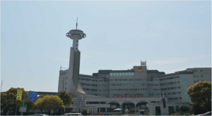 2026年湖南自建房灯具源头厂家推荐:雷士照明设计工程全屋灯光方案解析